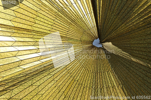 Image of Pretty Pattern of a Military Parachute From Underneath