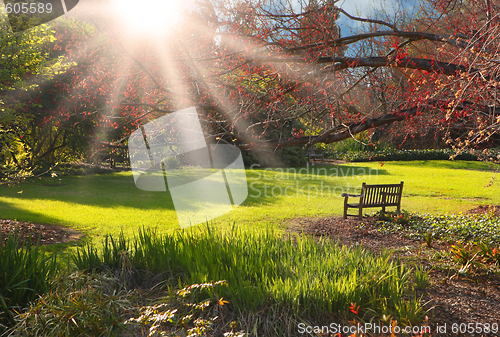 Image of Bench in the park at Sunset