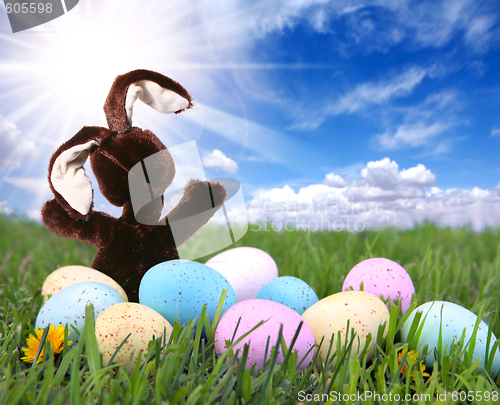 Image of Bunny Rabbit in the Grass With Easter Colored Eggs