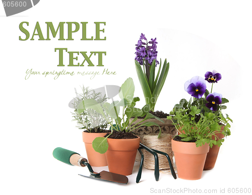 Image of Happy Spring Time Herb Gardening on White Background