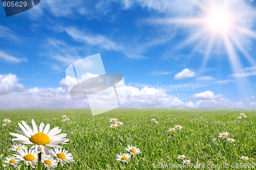 Image of Happy  Bright Spring Day Outside