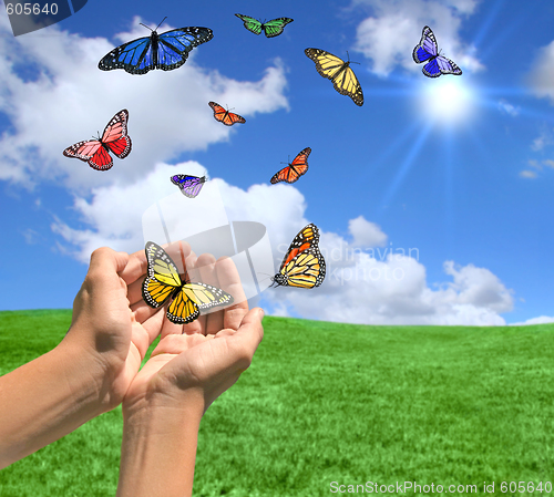 Image of Happy Bright Landscape WIth Butterflies