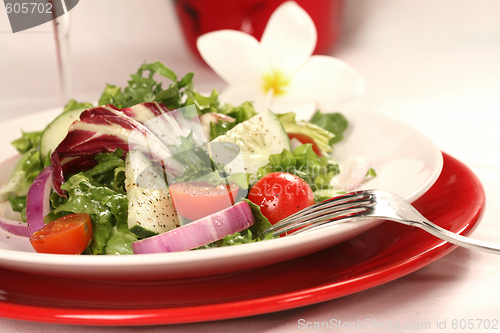 Image of Healthy Salad on a Red Plate