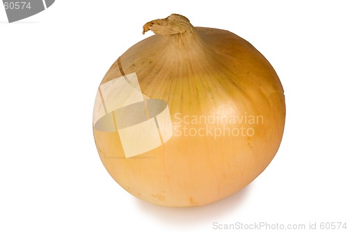 Image of Onion isolated on white background with clipping path