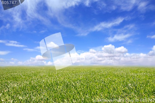 Image of Beautiful Field of Green Grass and Blue Cloudy Sky