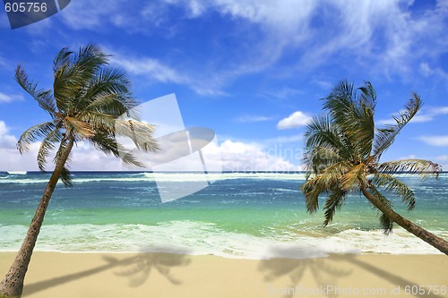 Image of Island Pardise Beach in Hawaii