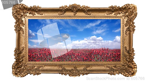Image of Framed Field of Pretty Red Flowers and Beautiful Sky