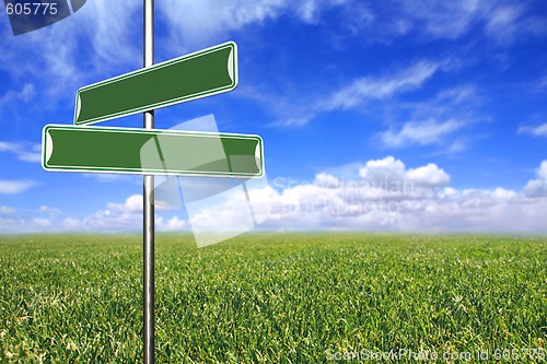 Image of Blank Directional Signs in an Open Field