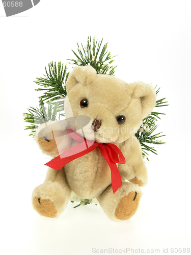 Image of Stuffed Teddy