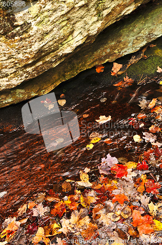 Image of Autumn leaves in lake