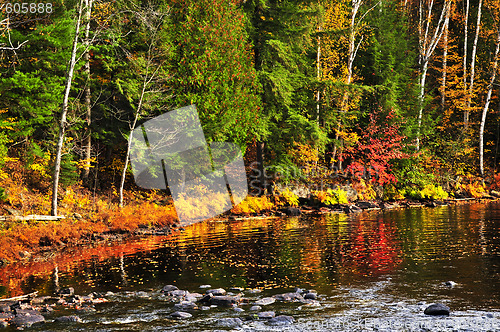 Image of Fall forest and lake shore