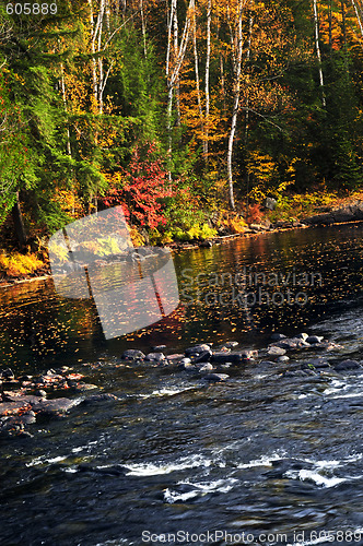 Image of Fall forest and lake shore