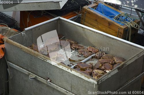 Image of Selling More Crabs