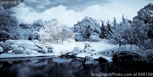 Image of Japanese garden