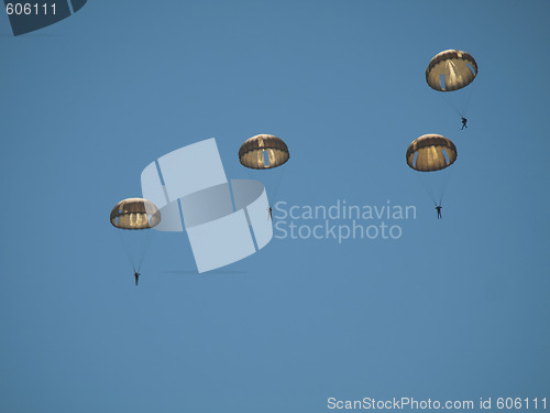 Image of Group of parachutists