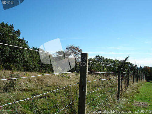 Image of A summers day