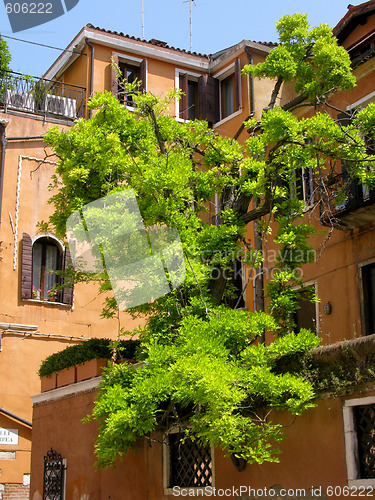 Image of House in Venice