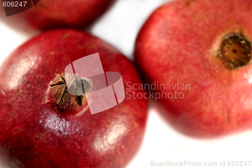 Image of Pomegranate