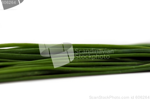 Image of Chives