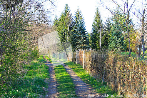 Image of Village path