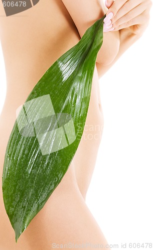 Image of female torso with green leaf over white