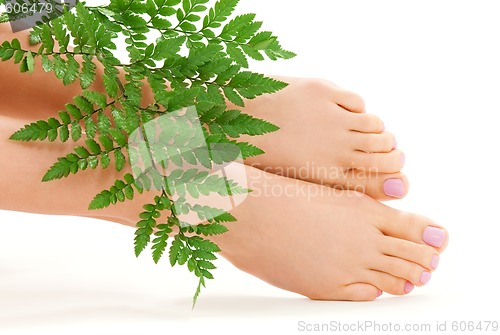 Image of female feet with green leaf