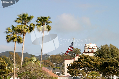 Image of Palm Tree Flag