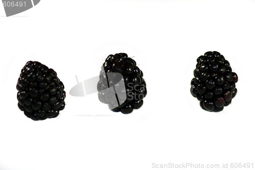 Image of Blackberry