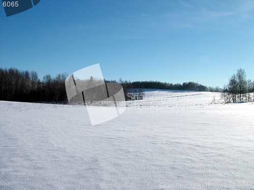 Image of Winter landscape 6