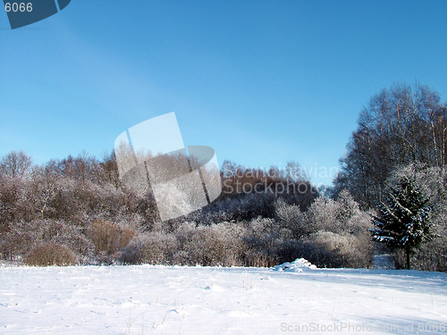 Image of Winter landscape 5