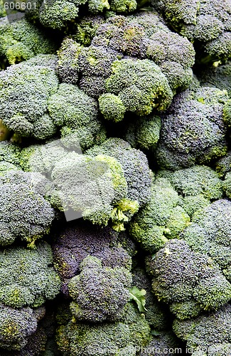 Image of Broccoli calabrese