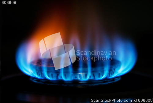 Image of Stove gas fire flame