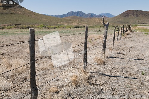 Image of Barbed wire