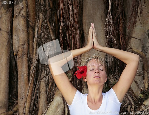 Image of Woman in white meditating in front of Bodhi Tree Roots