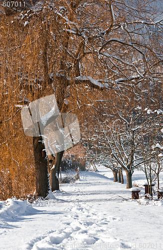 Image of Way in Winter