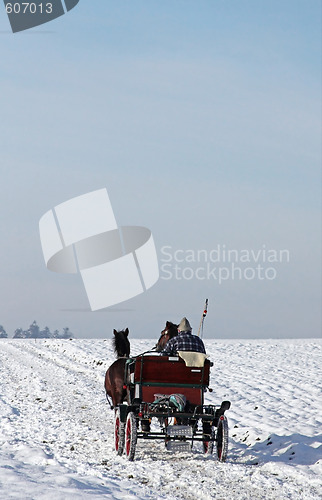 Image of Horse-Drawn Carriage