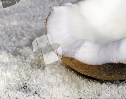 Image of coconut