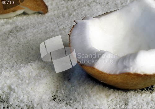 Image of coconuts