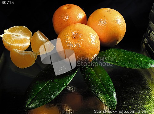 Image of mandarines