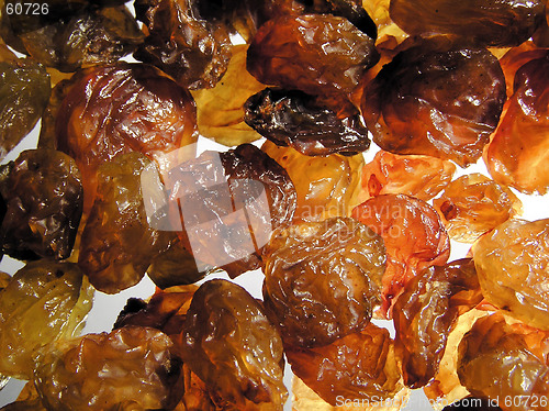 Image of Raisin