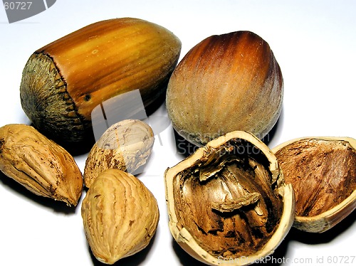 Image of hazelnuts