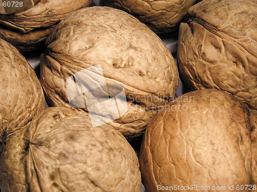 Image of Walnut