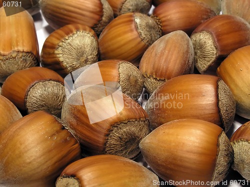 Image of hazelnut