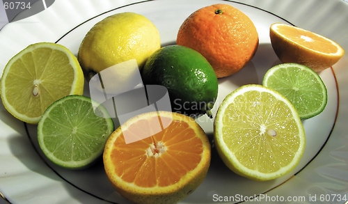 Image of Citrus