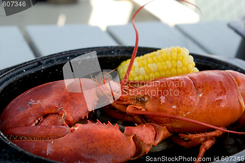 Image of Boiled lobster