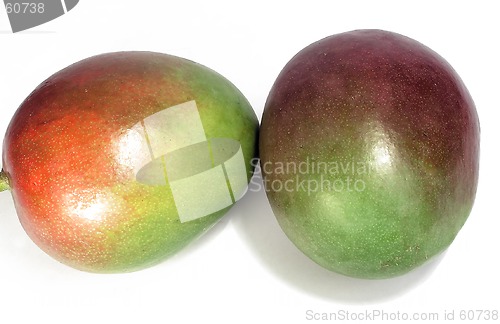 Image of mangos