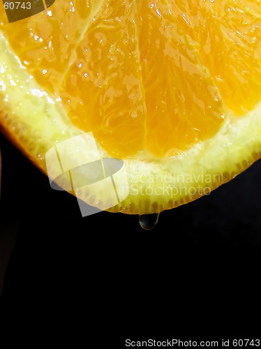 Image of orange