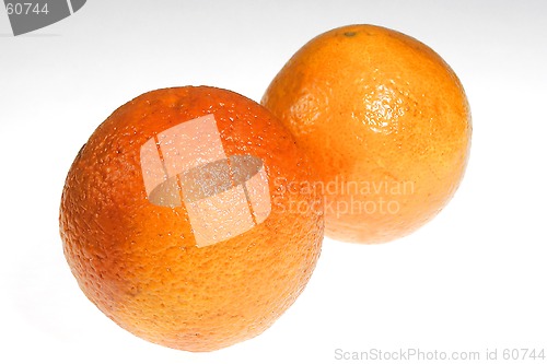 Image of Orange