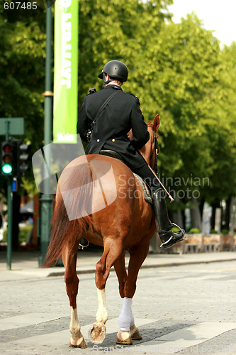 Image of Riding Police