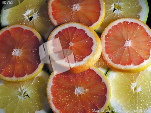 Image of Citruses slice
